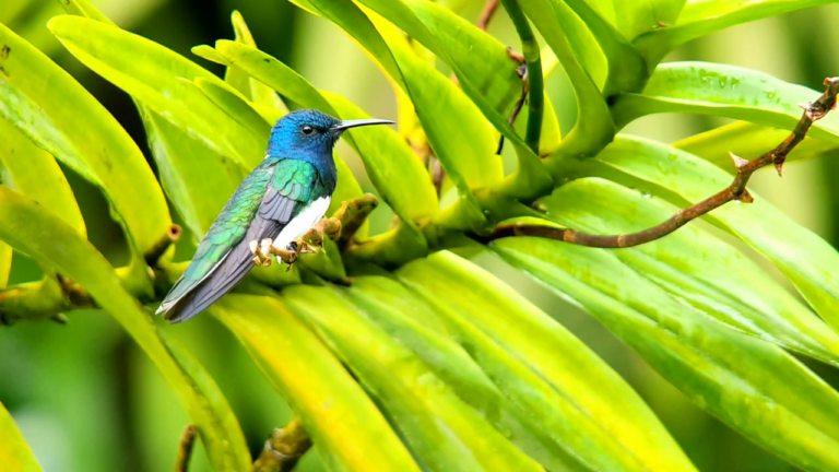 1637761676 2021 11 24 1637759491239 0 768x432