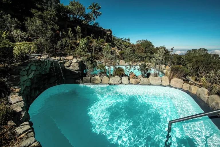 80759ede.jpg 768x512